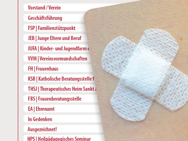 SkF INFO 2015-II erschienen