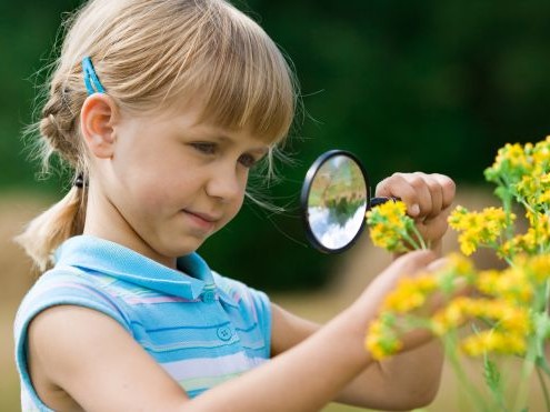 Paralleler Eltern-Kurs „Kinder im Blick“ in EBZ und SkF