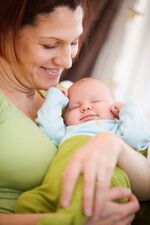 Online Elternabend Babybrei trifft Fingerfood