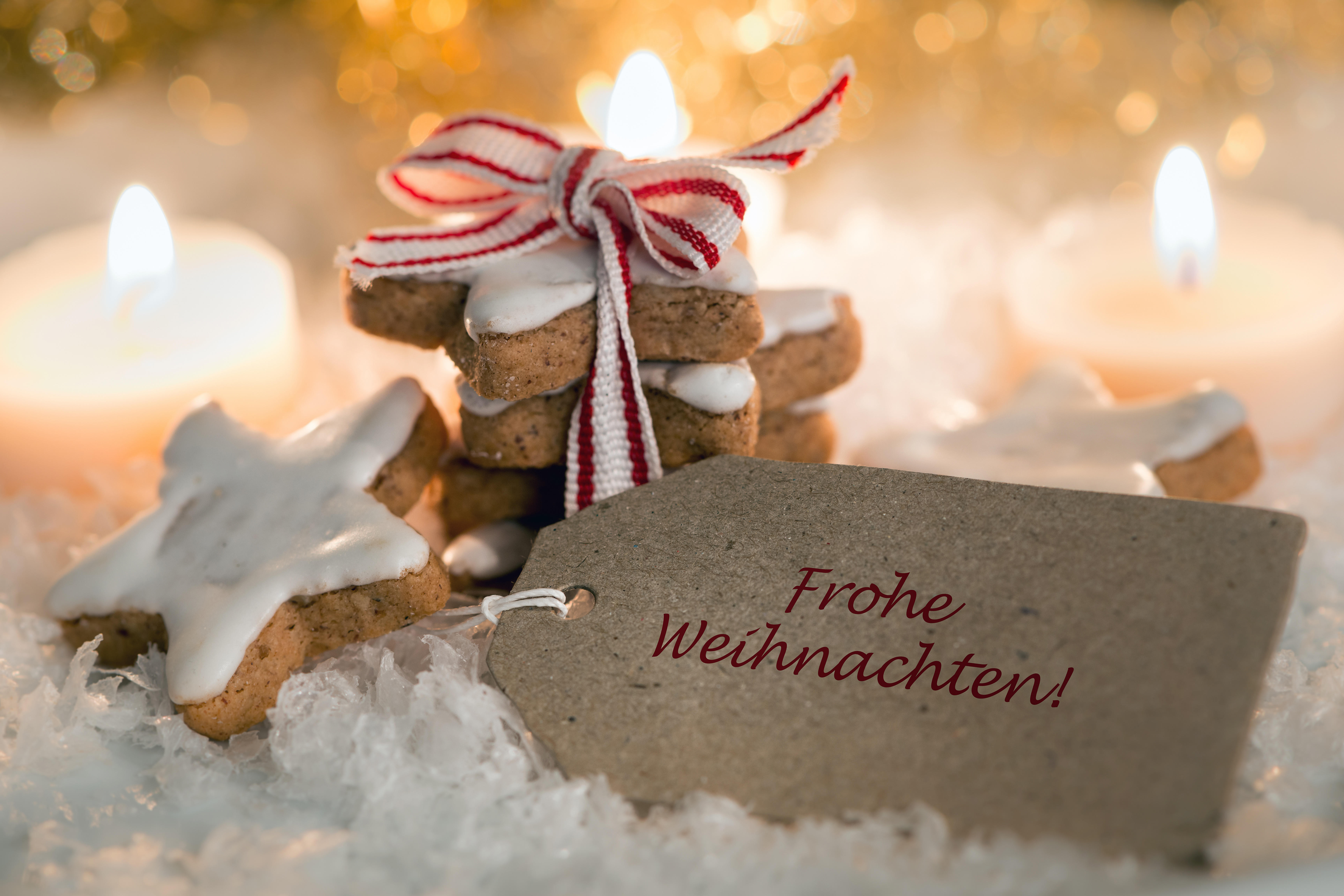Entdeckungsreise Bibliothek - Thema Weihnachten