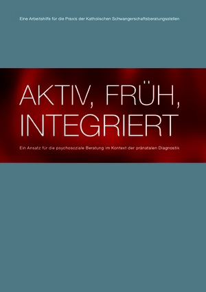 PDF Vorschau Arbeitshilfe der KSB_AKTIV, FRÜH, INTEGRIERT