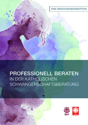 PDF Vorschau Beratungskonzeption_PROFESSIONELL BERATEN IN DER KSB (2020).pdf